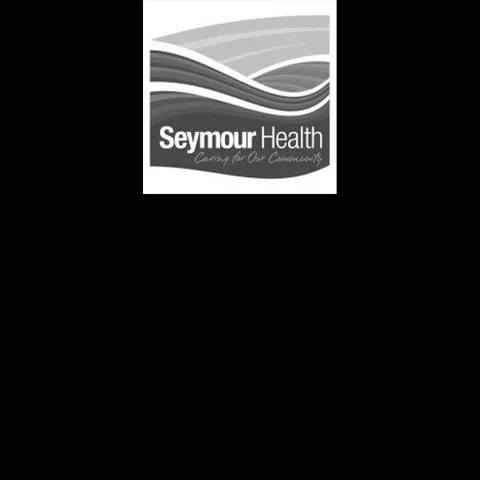 Chief Executive Officer, Seymour Health